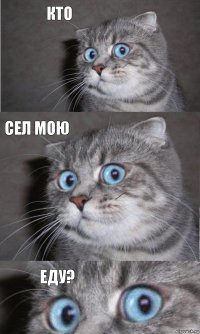 Кто Сел мою ЕДУ?