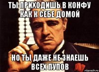 ты приходишь в конфу как к себе домой но ты даже не знаешь всех пупов