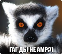  гаг ды не амр?!