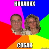 никаких собак