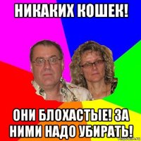 никаких кошек! они блохастые! за ними надо убирать!