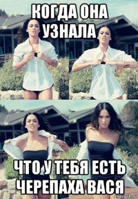 когда она узнала что у тебя есть черепаха вася