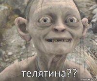 телятина?? 