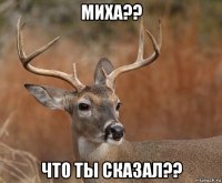 миха?? что ты сказал??