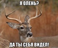 я олень? да ты себя видел!