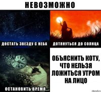 объяснить коту, что нельзя ложиться утром на лицо