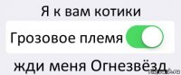 Я к вам котики Грозовое племя жди меня Огнезвёзд