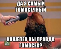 да я самый гомосечный кошелев вы правда гомосек?