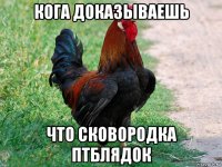 кога доказываешь что сковородка птблядок