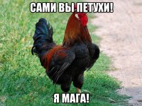 сами вы петухи! я мага!