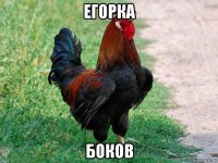 егорка боков