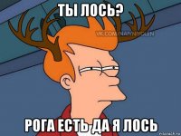 ты лось? рога есть да я лось