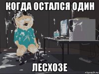 когда остался один лесхозе