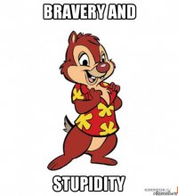 bravery and stupidity