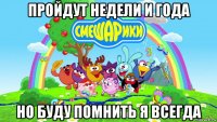 пройдут недели и года но буду помнить я всегда