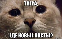 тигра, где новые посты?