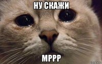 ну скажи мррр