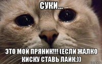 суки... это мой пряник!!! (если жалко киску ставь лайк:))