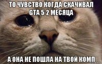 то чувство когда скачивал gta 5 2 месяца а она не пошла на твой комп