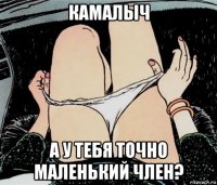 камалыч а у тебя точно маленький член?