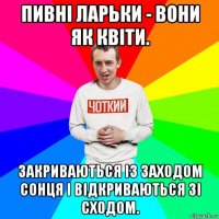 пивні ларьки - вони як квіти. закриваються із заходом сонця і відкриваються зі сходом.