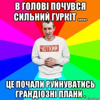 в голові почувся сильний гуркіт ..... це почали руйнуватись грандіозні плани .