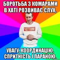 боротьба з комарами в хаті розвиває слух, увагу, координацію, спритність і параною.