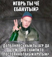 игорь ты чё ебанутый? долбонявськый ты агр-да що ж ты в скайпи то постоянно такый крутый?