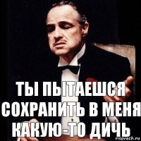 ты пытаешся сохранить в меня какую-то дичь