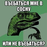 въебаться мне в сосну или не въебаться?