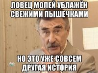 ловец молей ублажён свежими пышечками но это уже совсем другая история