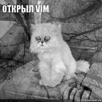 открыл vim         
