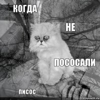 Когда Пососали Не Писос      