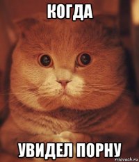 когда увидел порну