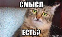 смысл есть?