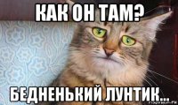 как он там? бедненький лунтик...