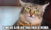  в мене був котик,і його нема