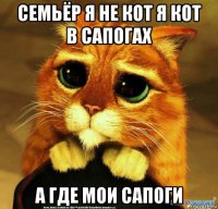 семьёр я не кот я кот в сапогах а где мои сапоги