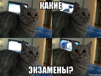 какие экзамены?