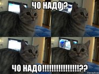 чо надо ? чо надо!!!!!!!!!!!!!!!!??