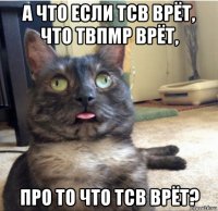 а что если тсв врёт, что твпмр врёт, про то что тсв врёт?