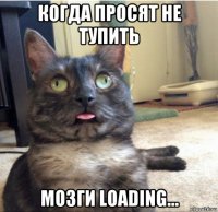 когда просят не тупить мозги loading...