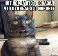 кот:когда кто то сказал что ледибаг это маринет 