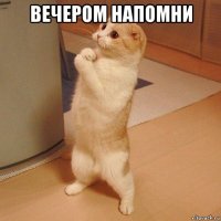 вечером напомни 