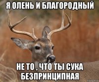 я олень и благородный не то , что ты сука безпринципная