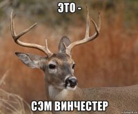 это - сэм винчестер