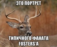 это портрет типичного фаната fosters'a