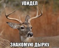 увидел знакомую дырку