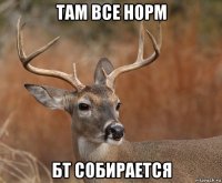 там все норм бт собирается