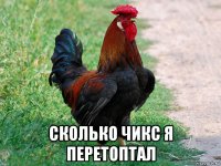  сколько чикс я перетоптал